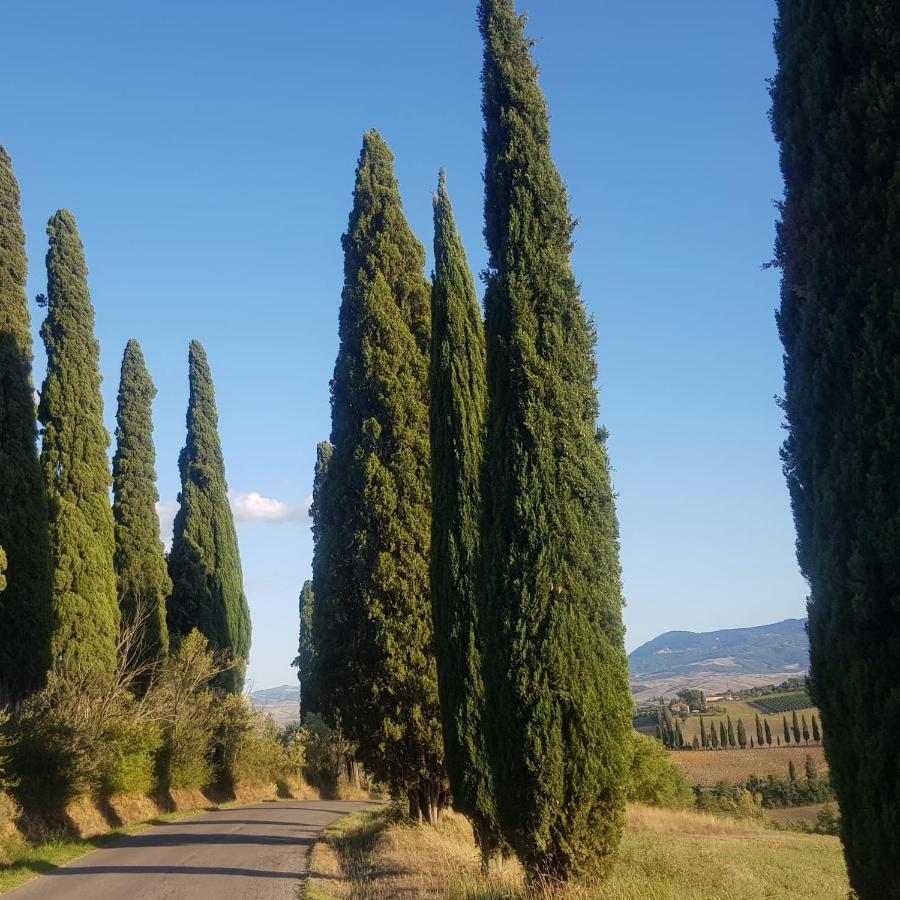 Palazzetto Del Pittore ซันกีรีโกดอร์เชีย ภายนอก รูปภาพ